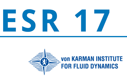 ESR17